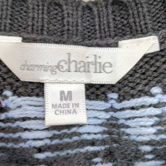 Charming Charlie Sweater Dress Medium - Picture 5 of 5